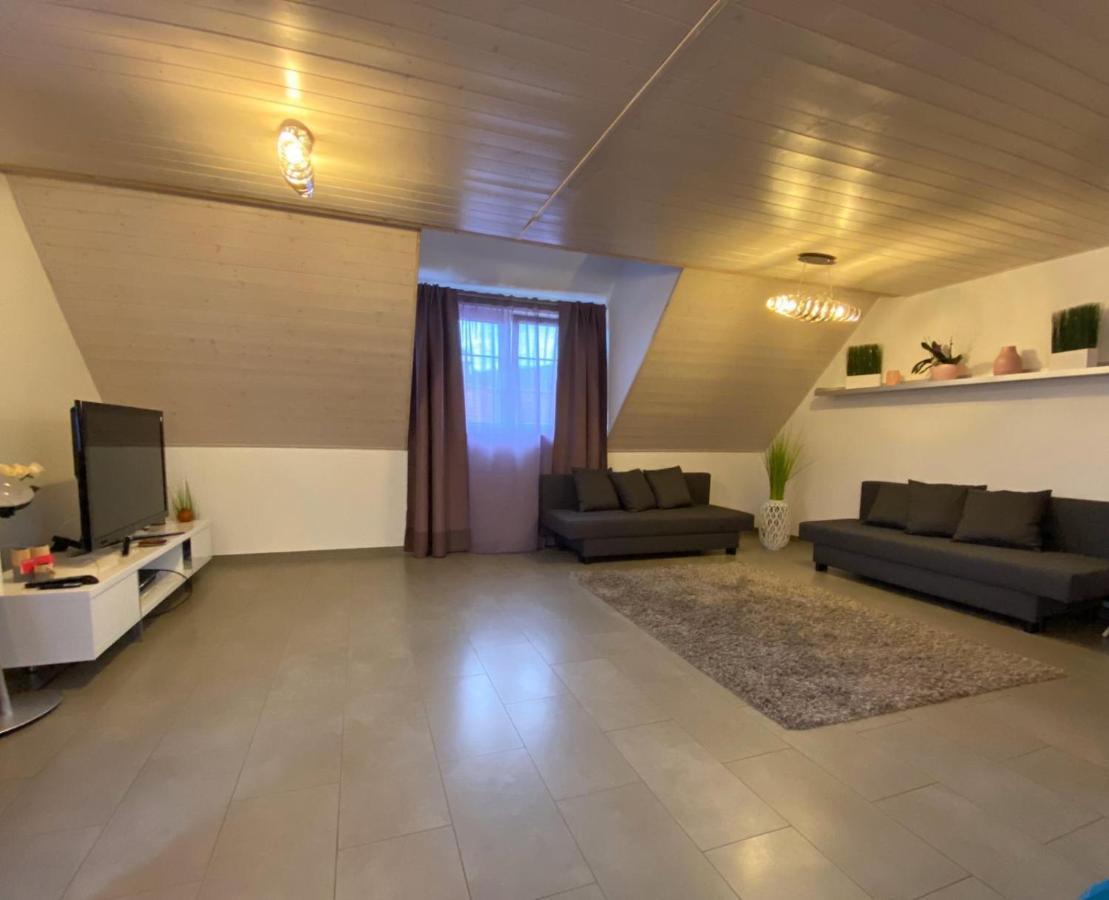 Ferienwohnung Sinsheim Exterior foto