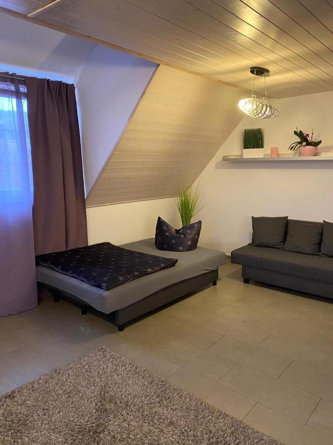 Ferienwohnung Sinsheim Exterior foto